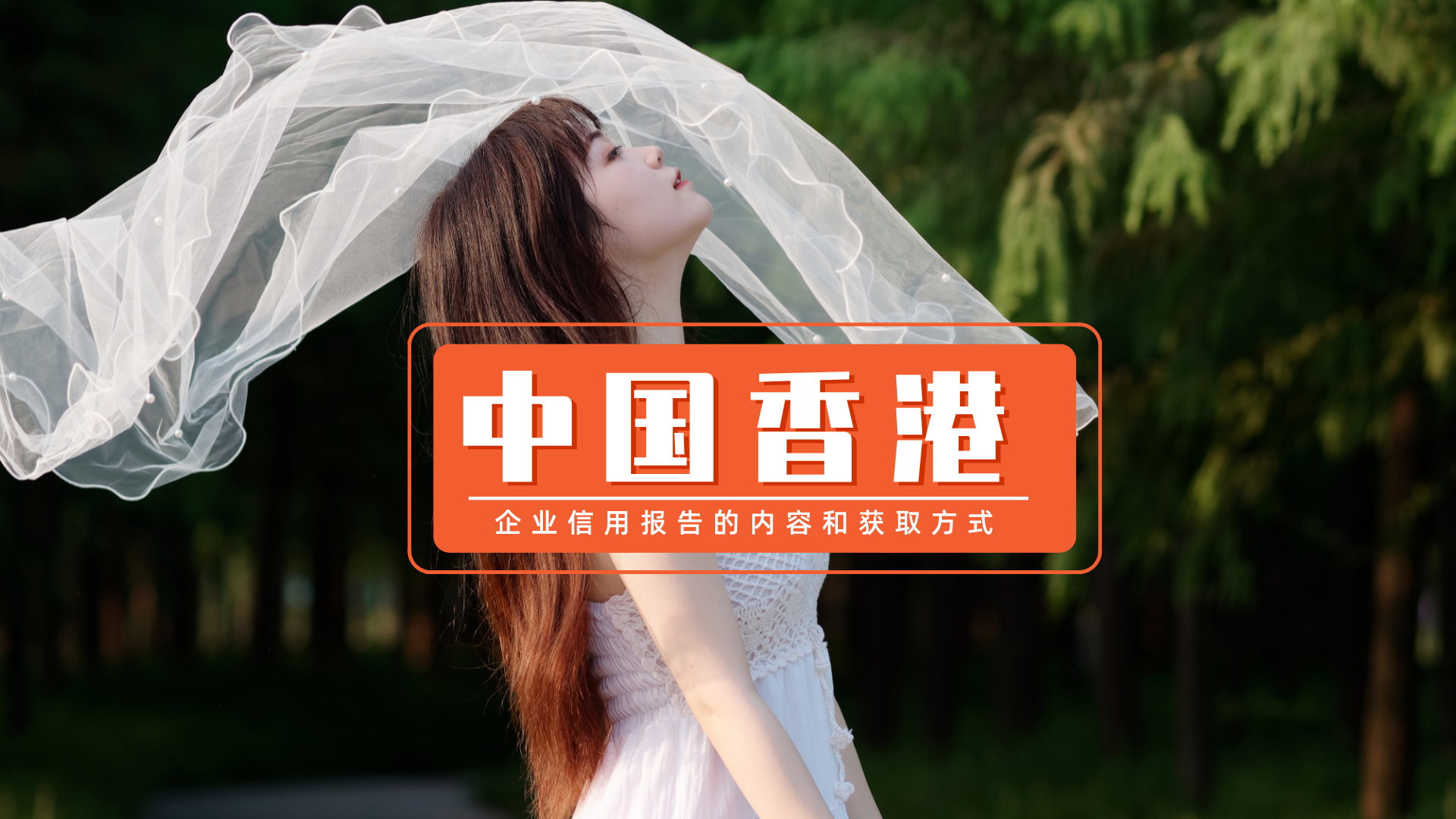 香港近30期历史记录香港历史记录近15期查询
