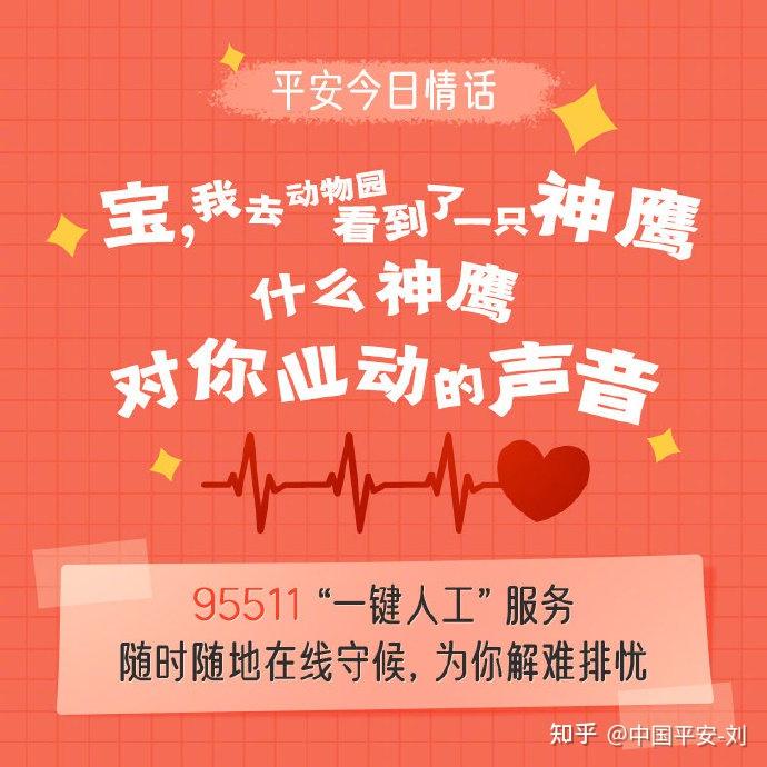 神鹰权威心水论坛神鹰权威心水论坛，探寻权威与心水的交汇之地-第2张图片