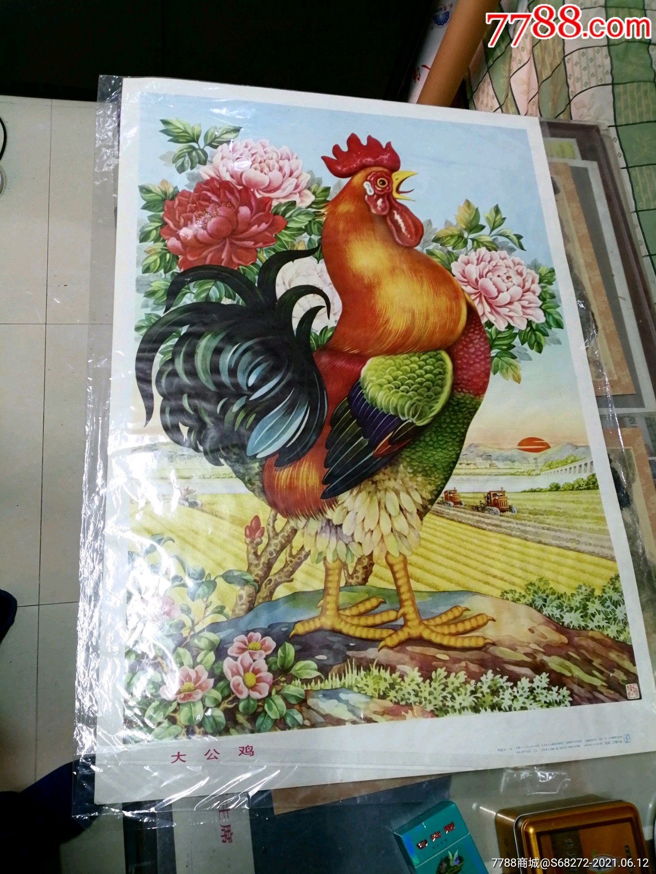 大公鸡七星彩，彩市中奇遇