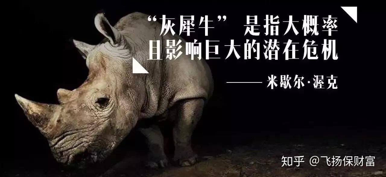一码一肖100准你好一码一肖100准，概率与策略的智慧