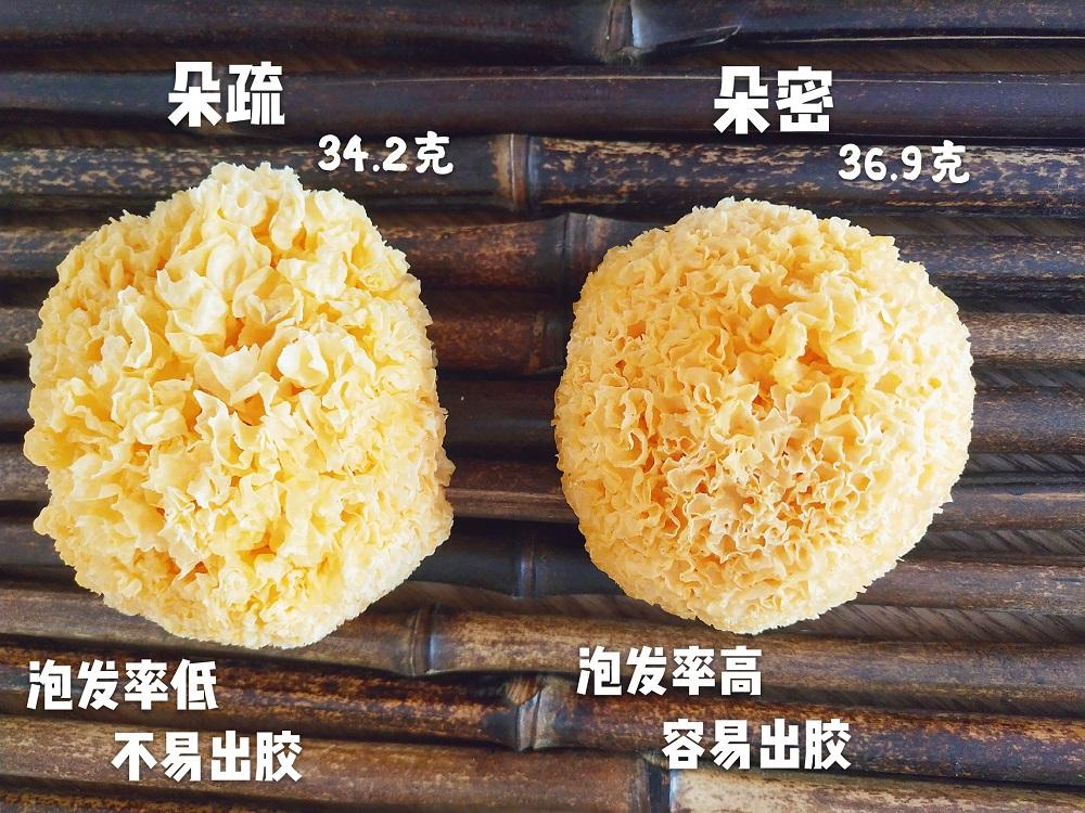 银耳种类繁多，品味各异