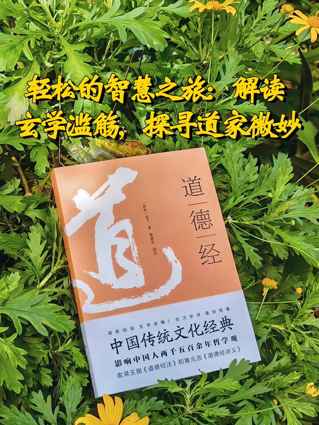 香港心水王中王论坛，探寻智慧与机遇的交汇点