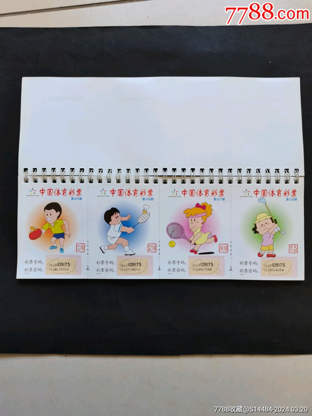 中国体育彩票综合版，探索与展望