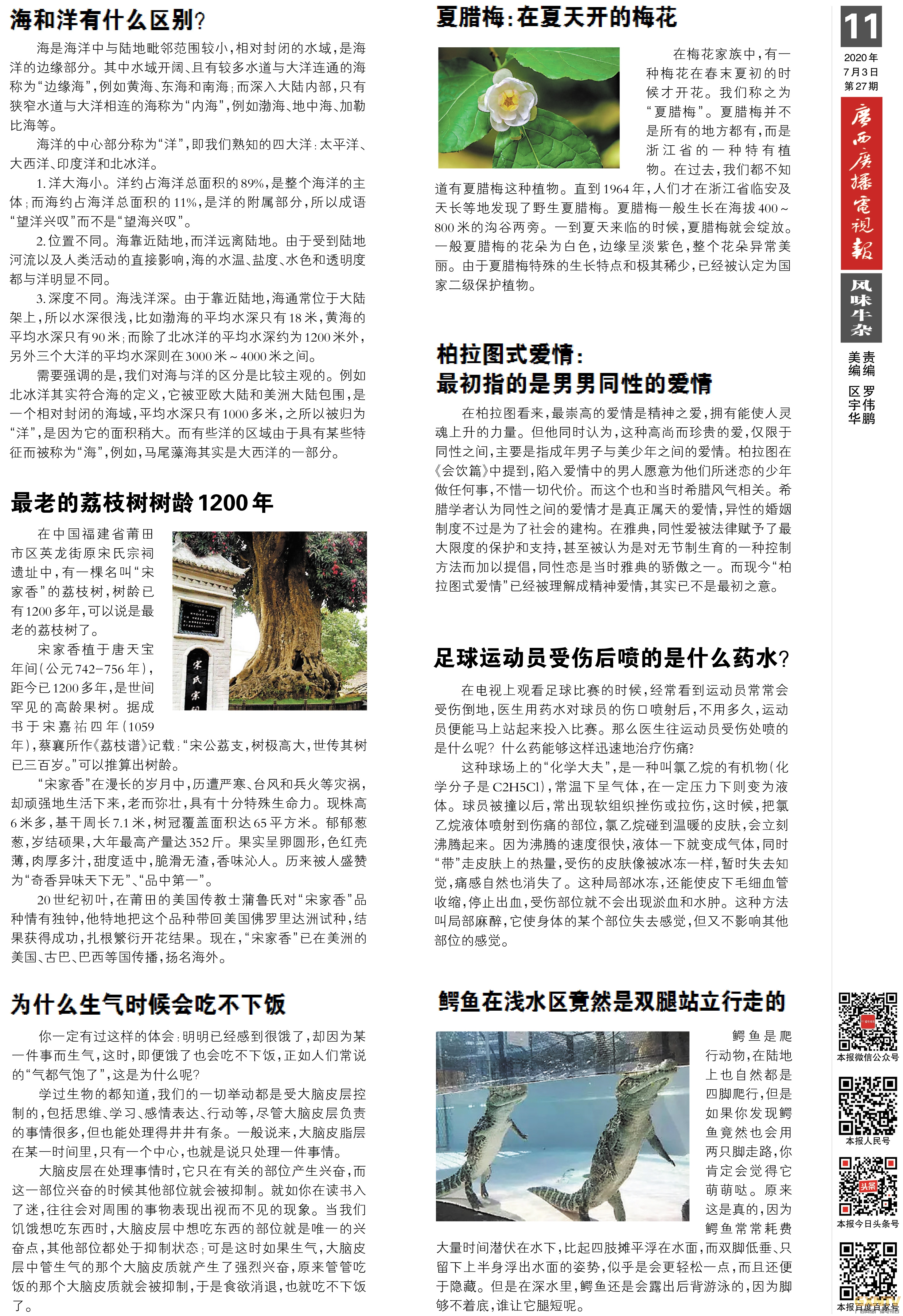 2024澳门历史记录查询澳门历史记录查询，2024篇