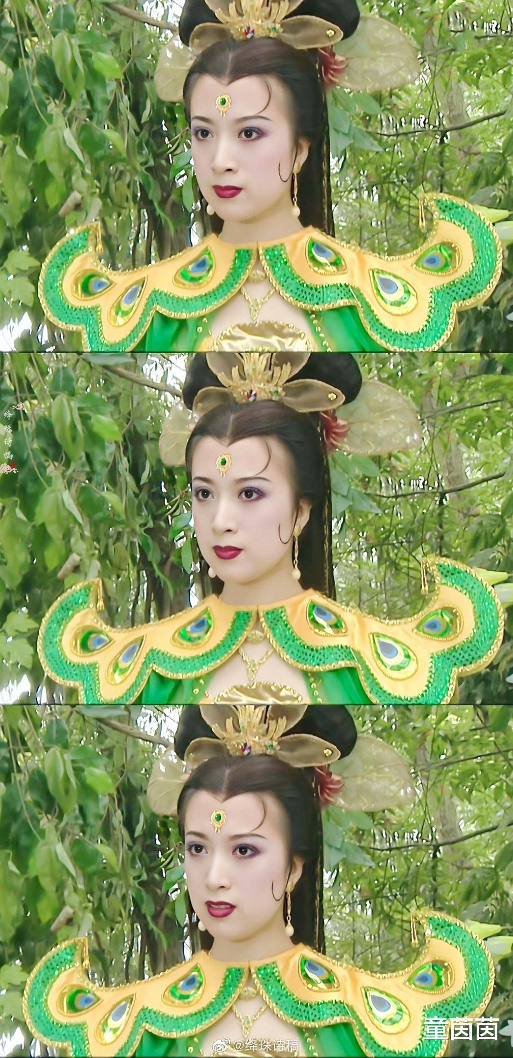 傅艺伟与金巧巧，演艺界的璀璨明珠-第1张图片