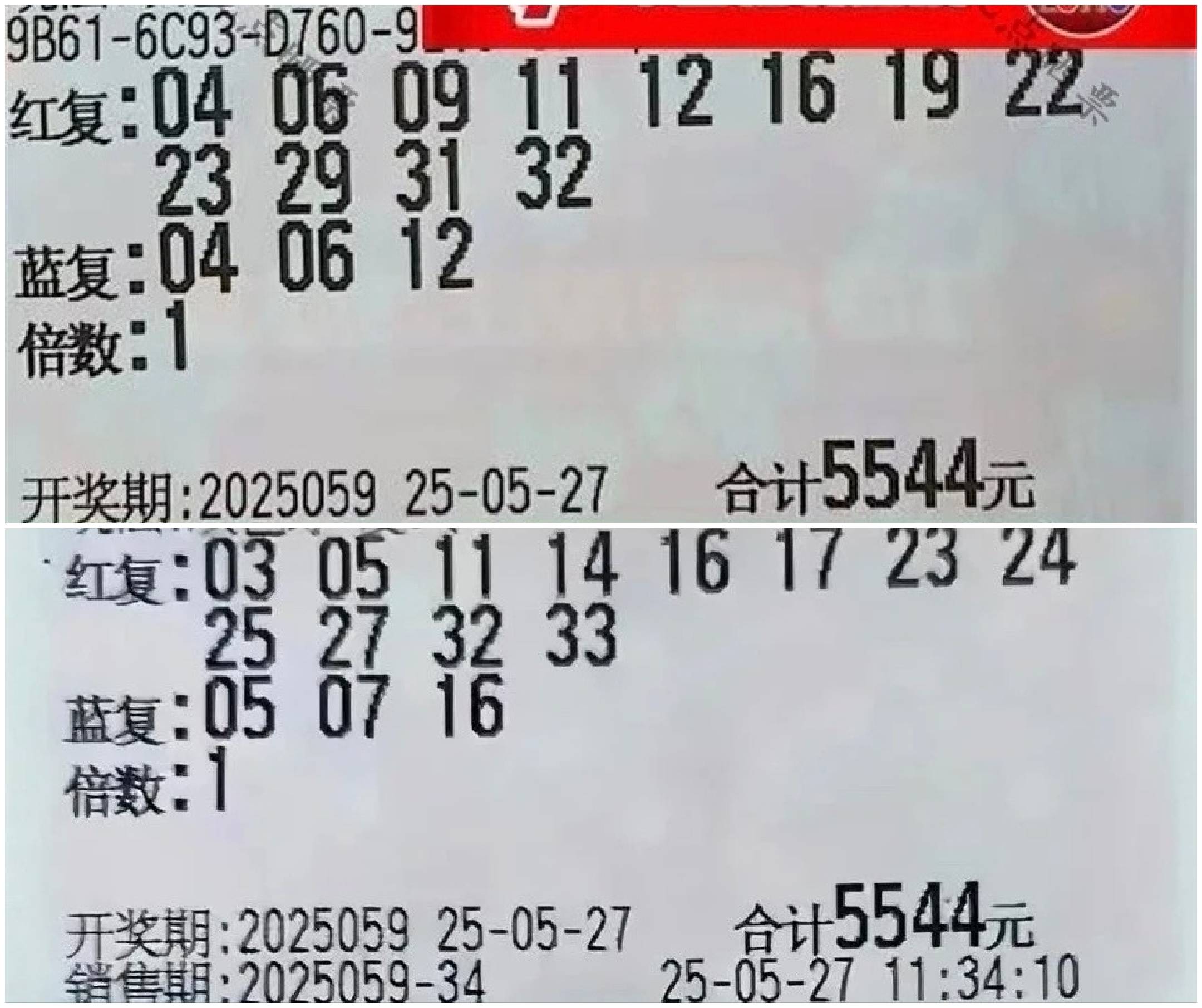 天天彩票，探索数字娱乐的新领域