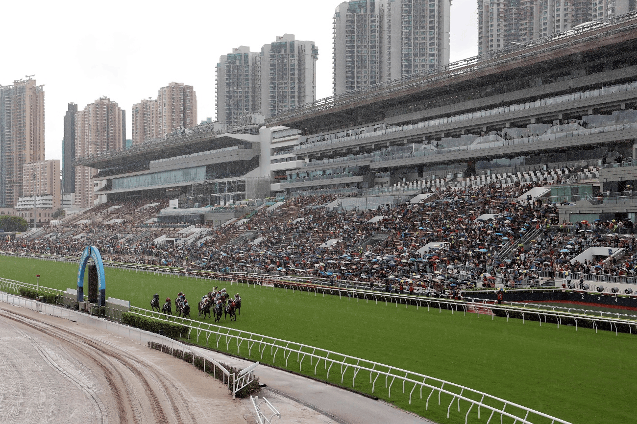 香港赛马会最新消息香港赛马会最新消息