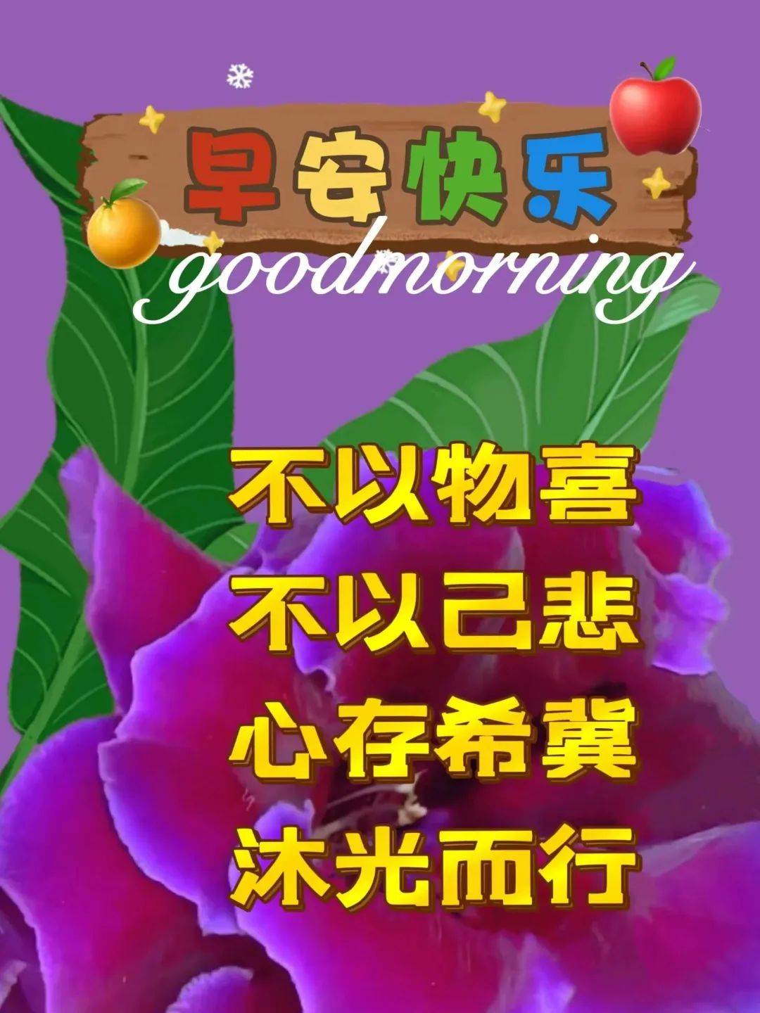246天天好免费资料大全-第3张图片