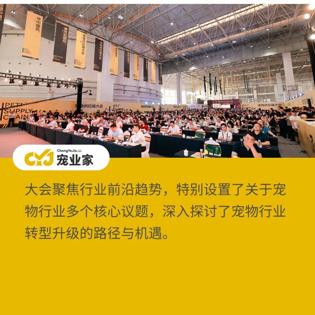 宠物 论坛宠物论坛，宠物爱好者的交流平台-第1张图片