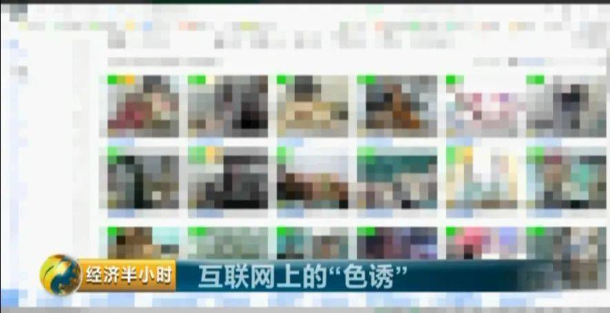 荿人网站网址大全