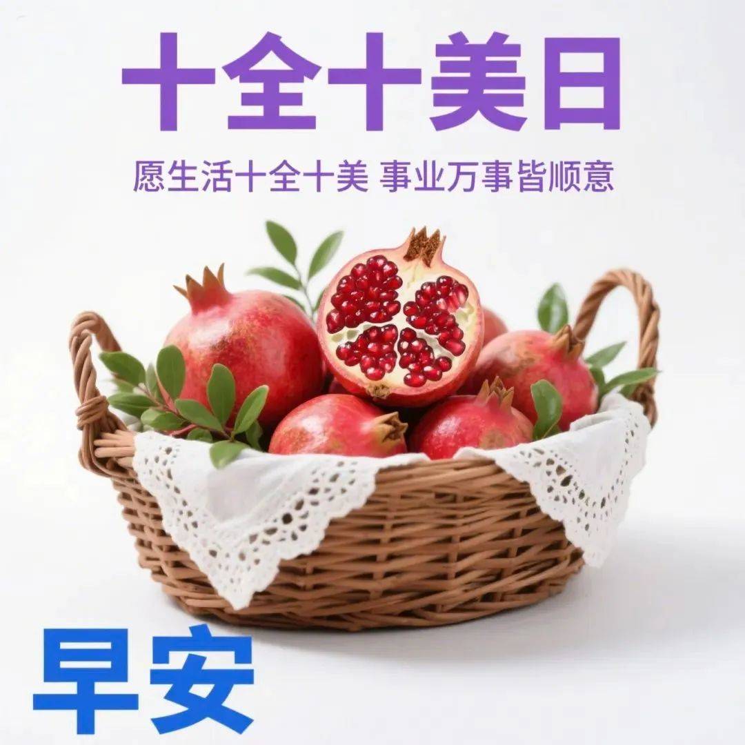 246天天好免费资料大全-第2张图片