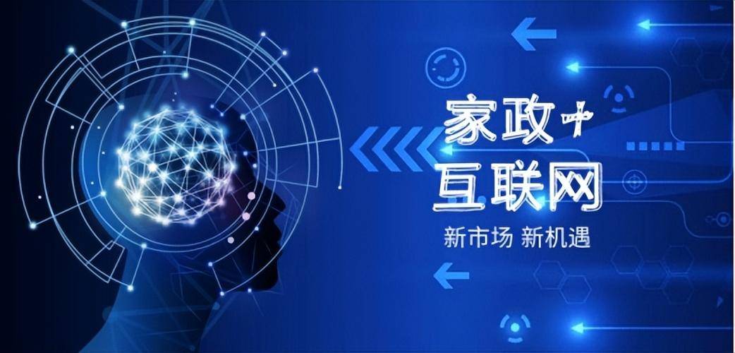 155755金牛网站香港，探索数字时代的商业机遇