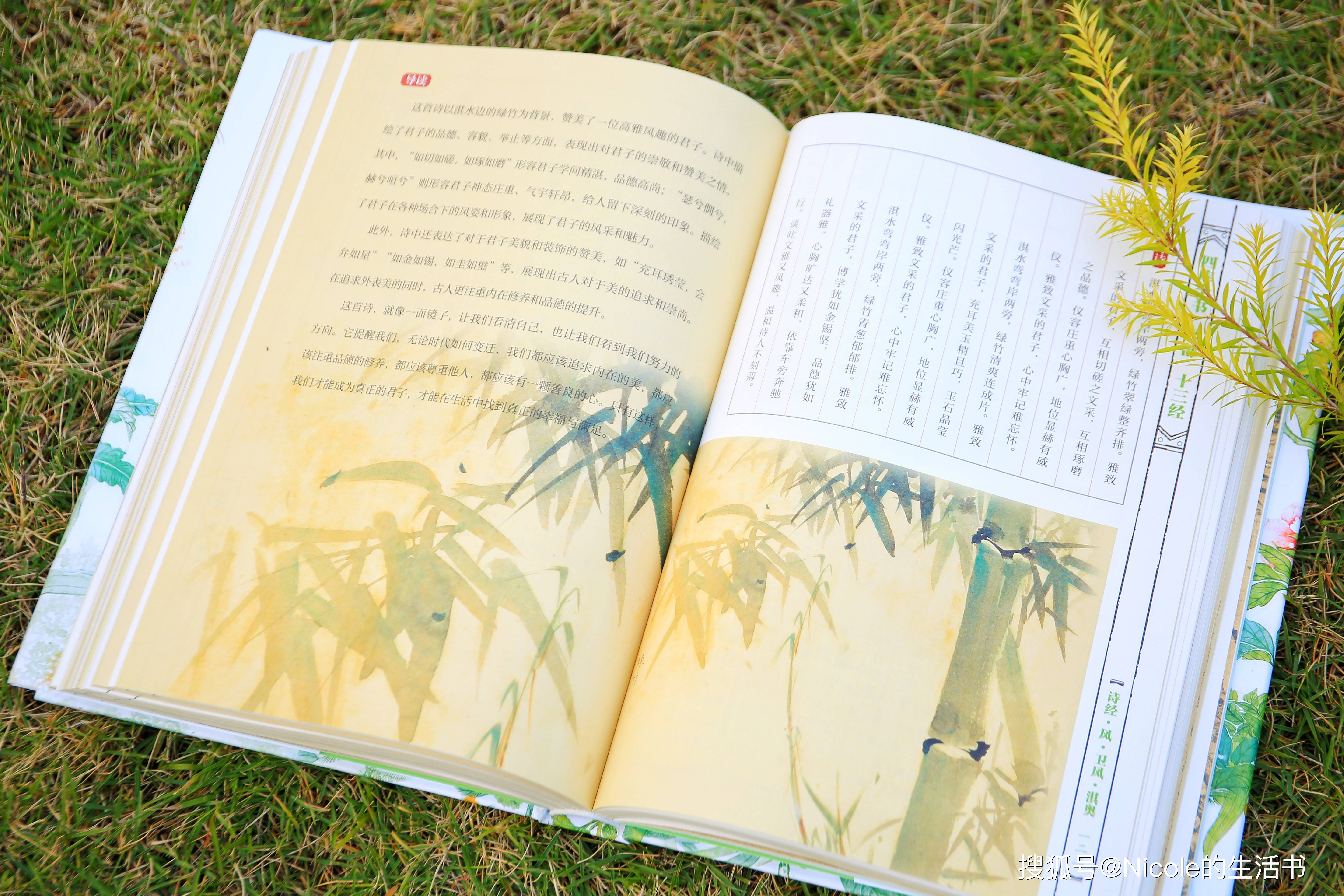 彩图诗句报刊大全彩图诗句之美-第2张图片