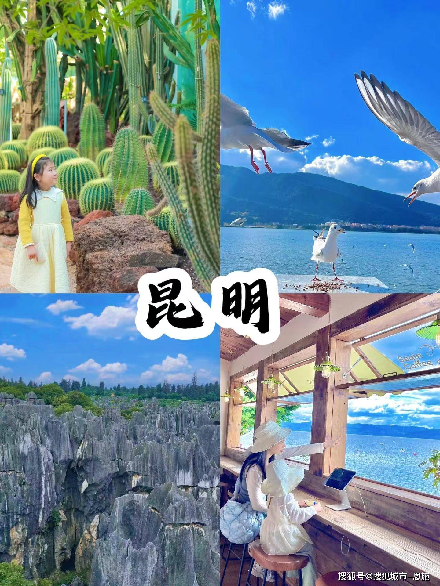 云南旅行团之旅，探秘云南之美