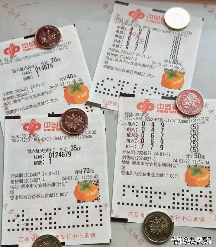 中国福利彩票3D，福彩游戏的新篇章-第2张图片