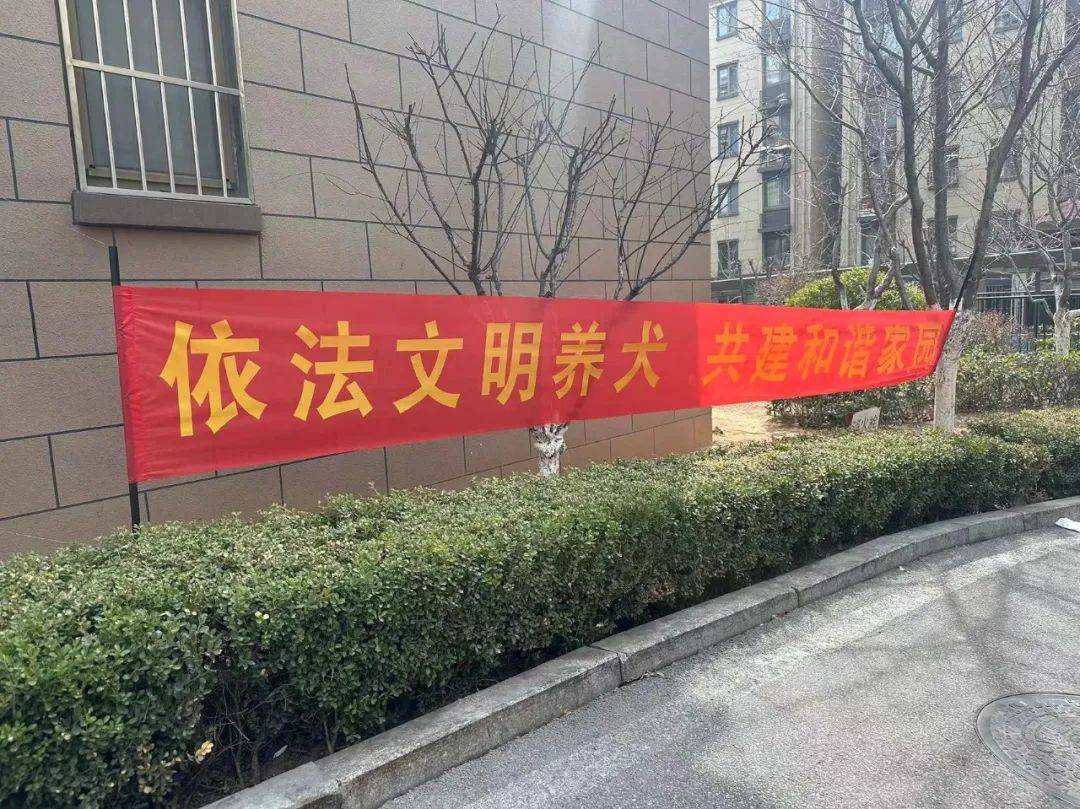 六合社区，和谐共融的社区新篇章-第2张图片