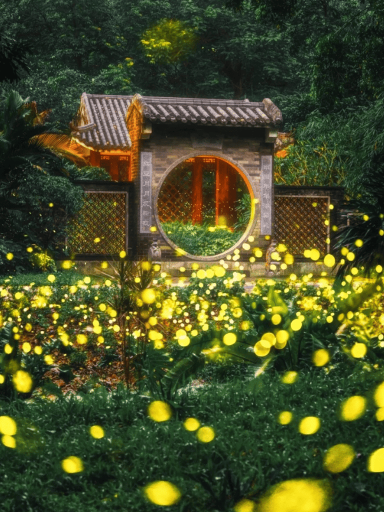 广州萤火虫