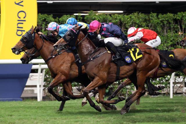 香港赛马会资料香港赛马会资料概述-第2张图片