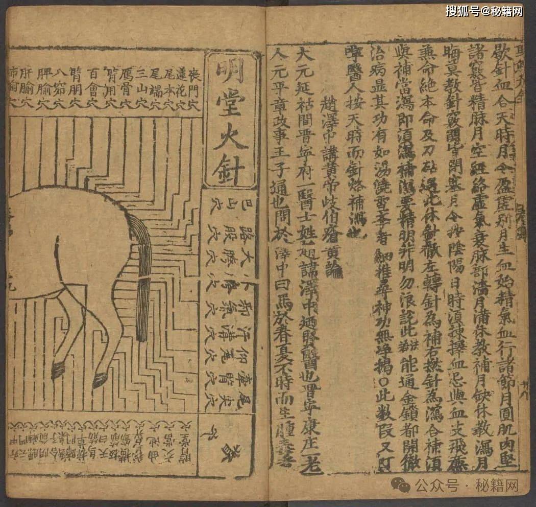 马经258图库马经258图库，探索古代马匹知识与图谱的宝库-第1张图片