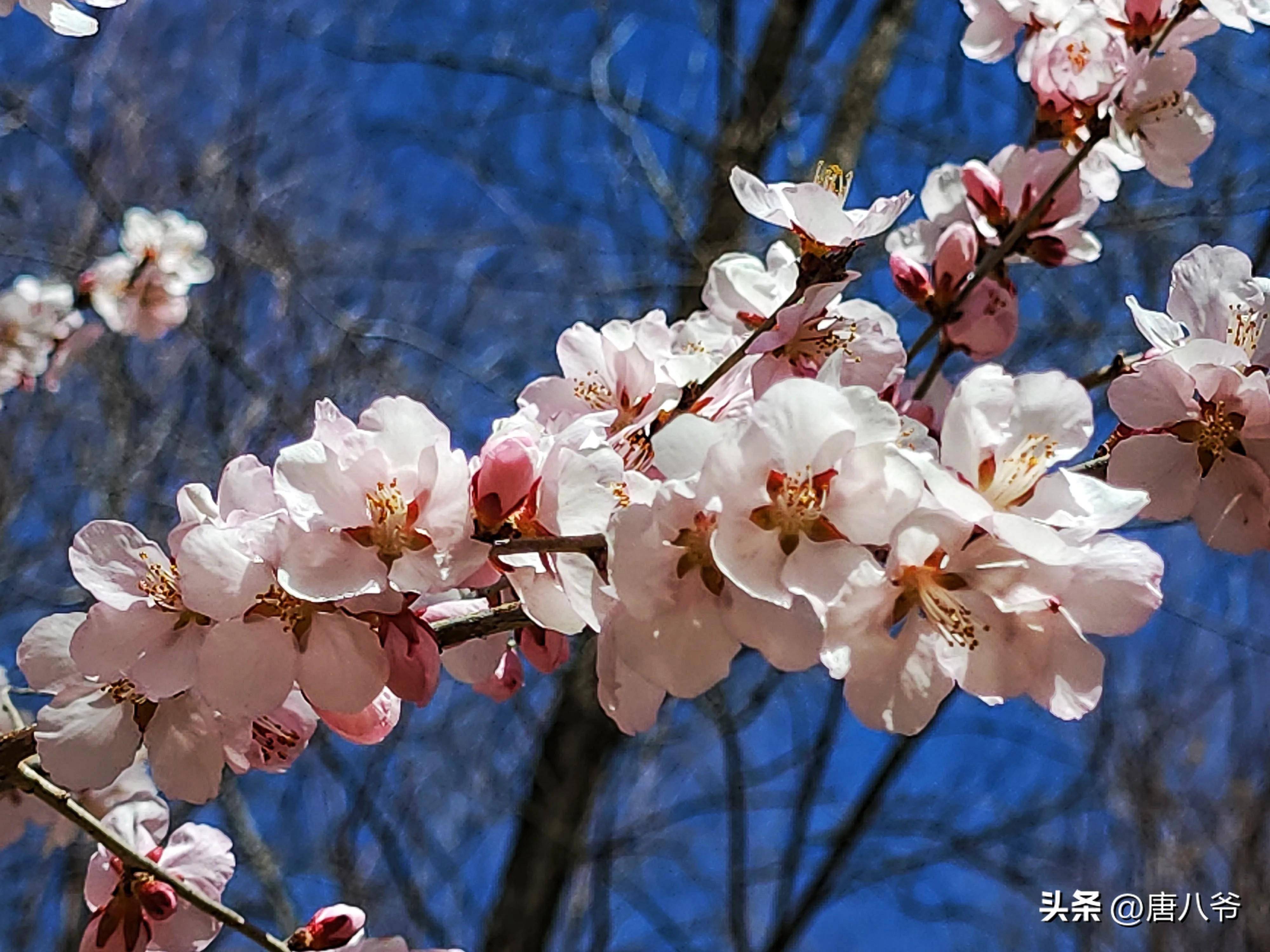 儋州天堂春色儋州天堂春色，大自然的绝美画卷