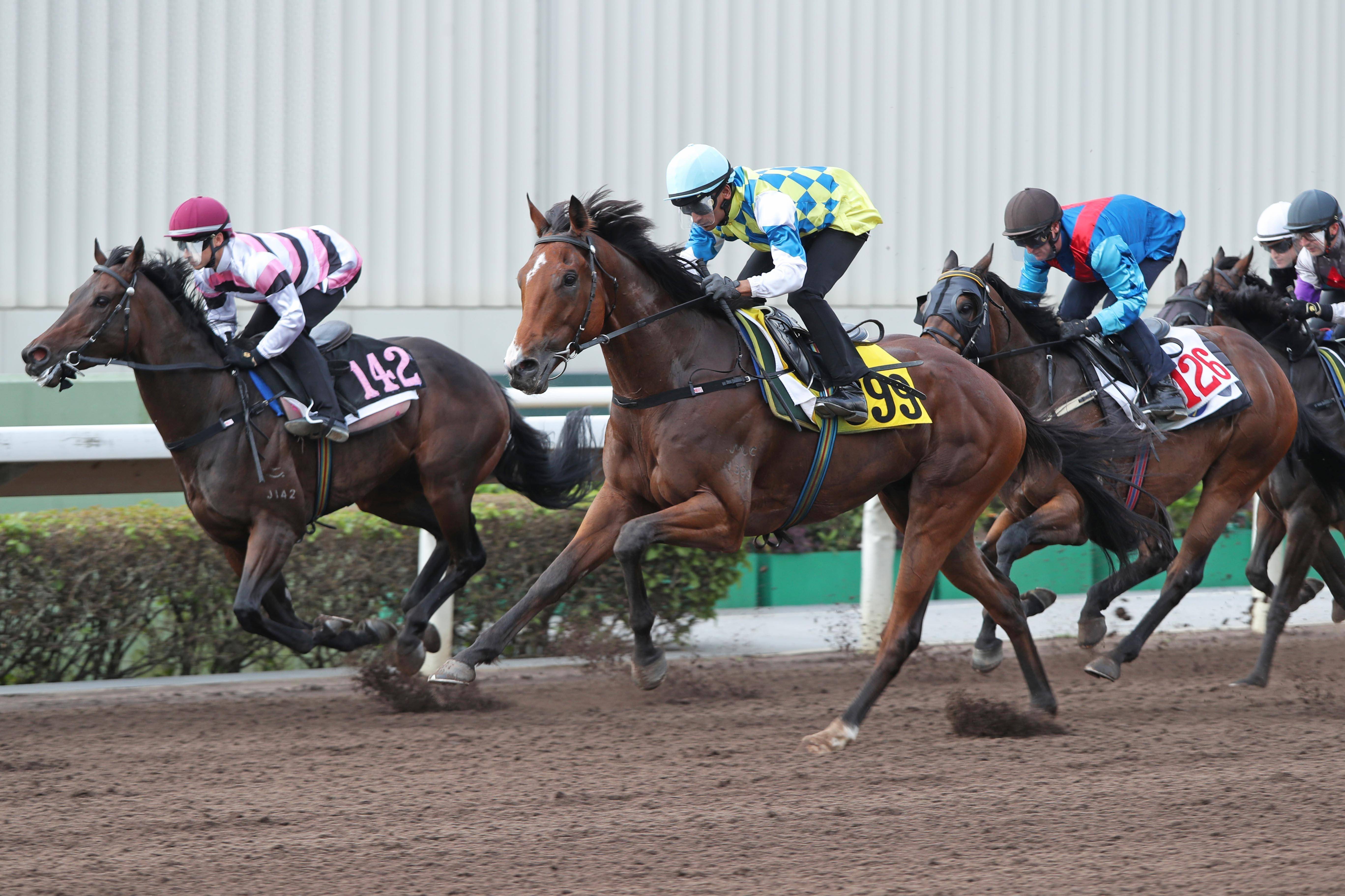 香港赛马会精选资料大全特色香港赛马会精选资料大全