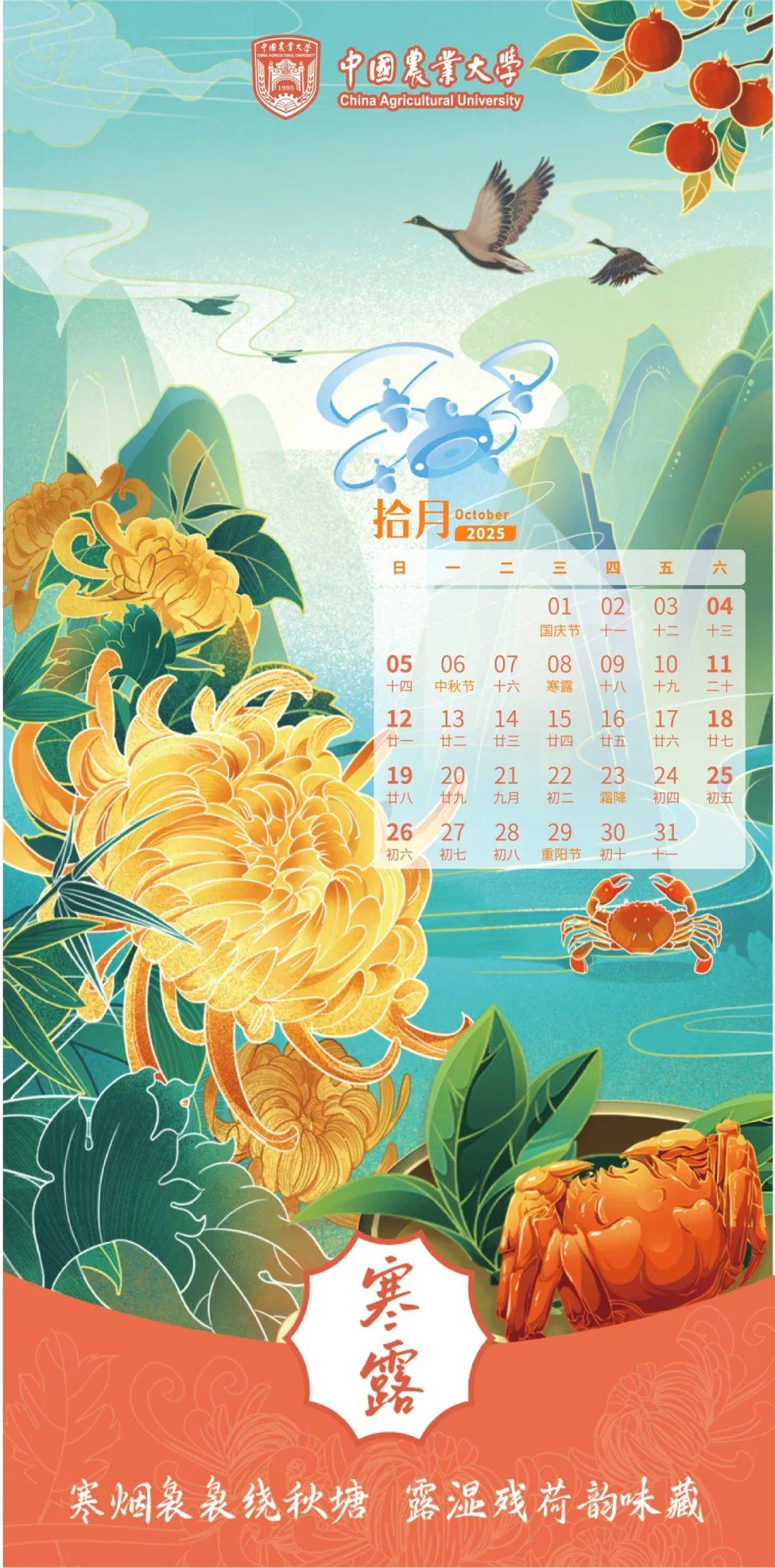2009日历，回顾与展望