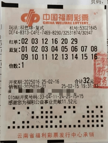 新疆福利彩票网新疆福利彩票网，福利彩票的新疆探索