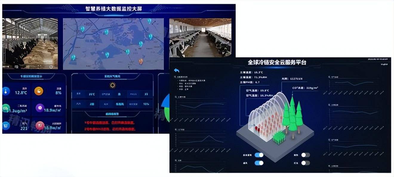 精准信息预测，未来趋势与决策依据-第1张图片