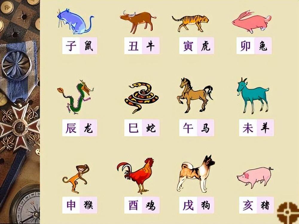 2024六会彩生肖卡对照表图片2024六会彩生肖卡对照表详解-第2张图片