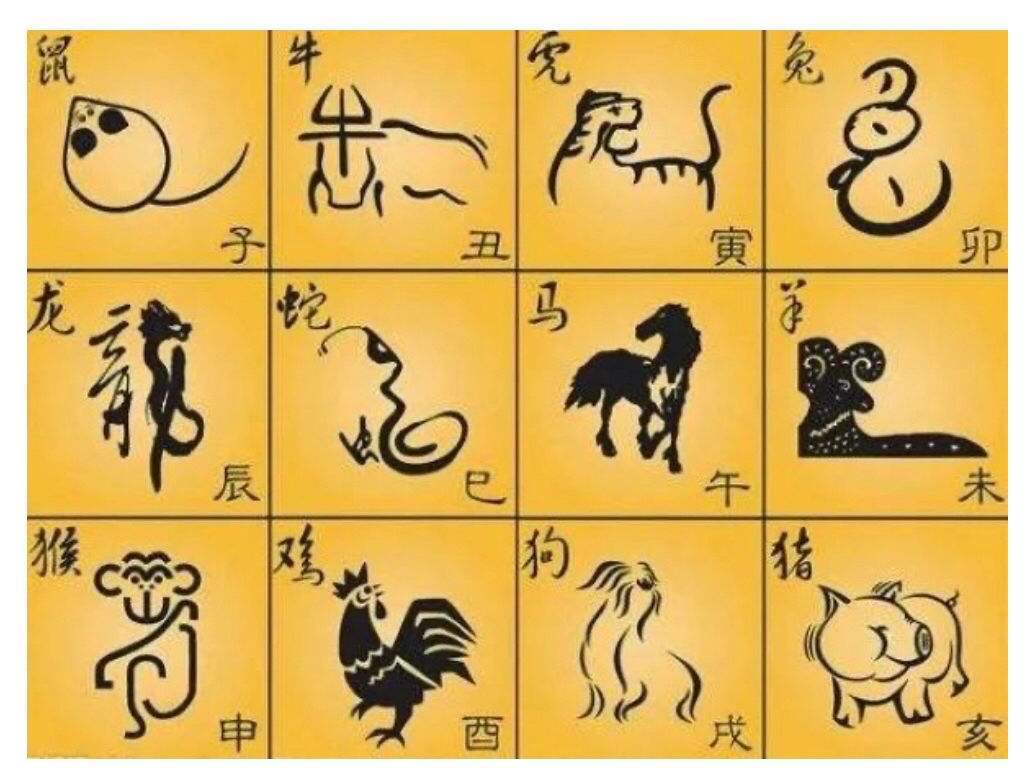 2020生肖号码表图十二生肖2020生肖号码波色表图揭秘