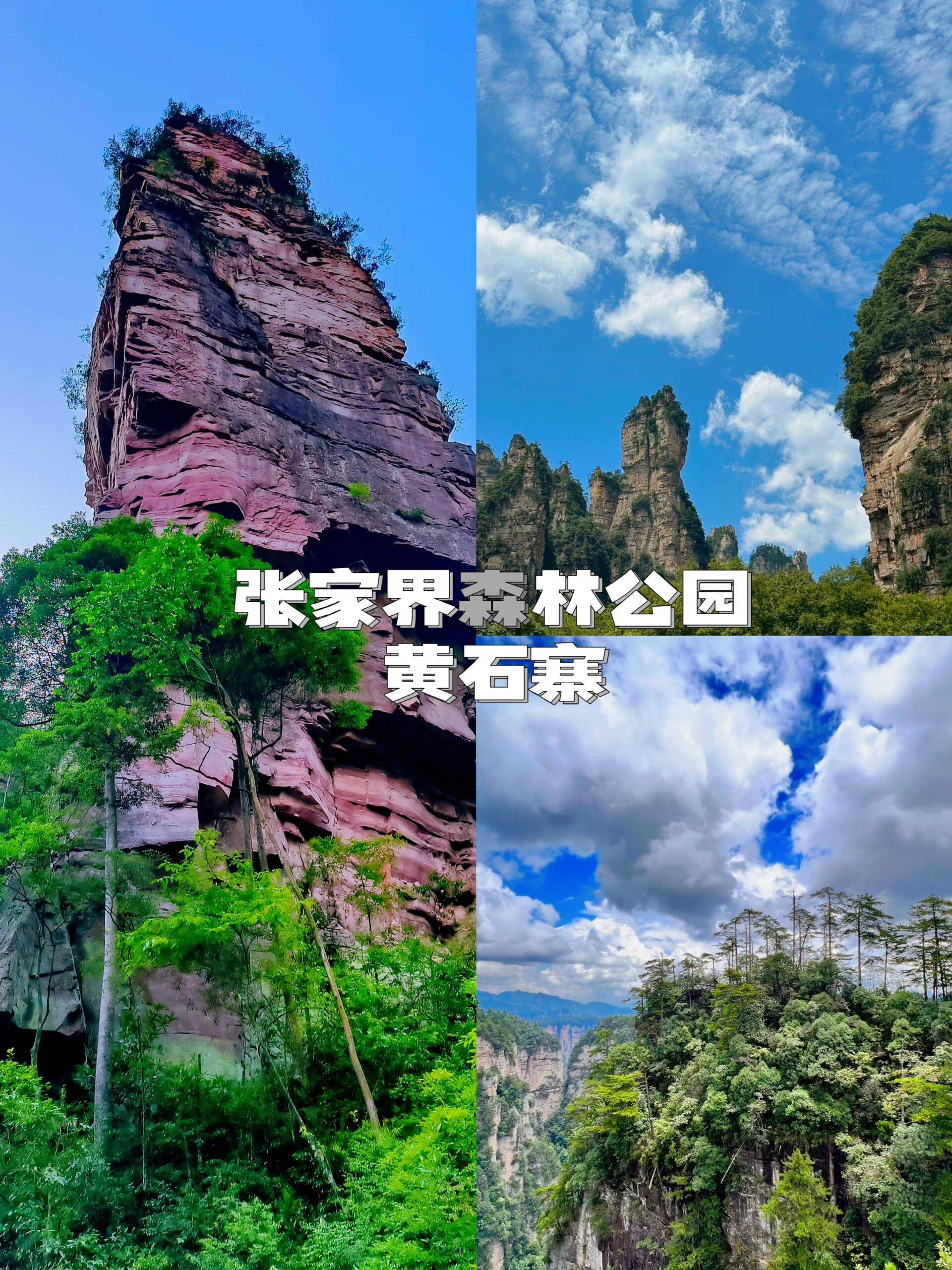 广州到张家界自驾游