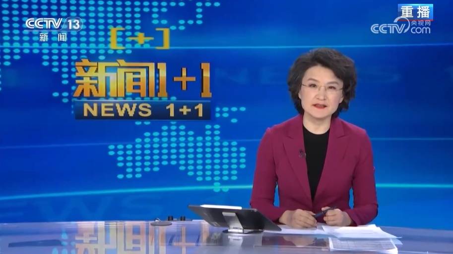 董倩简历个人资料简介董倩简历-第3张图片