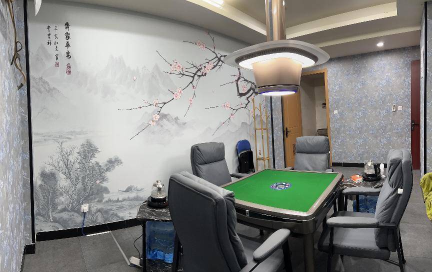 巴登棋牌，棋牌游戏的魅力与体验-第2张图片