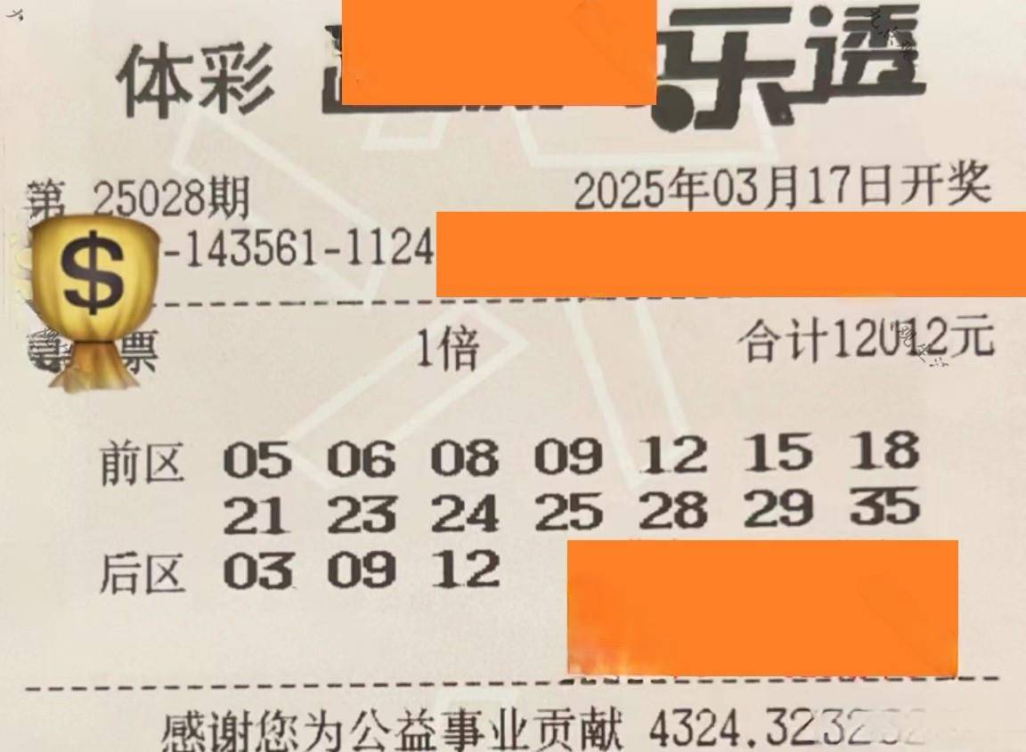 乐透网，探索数字彩票的神秘世界