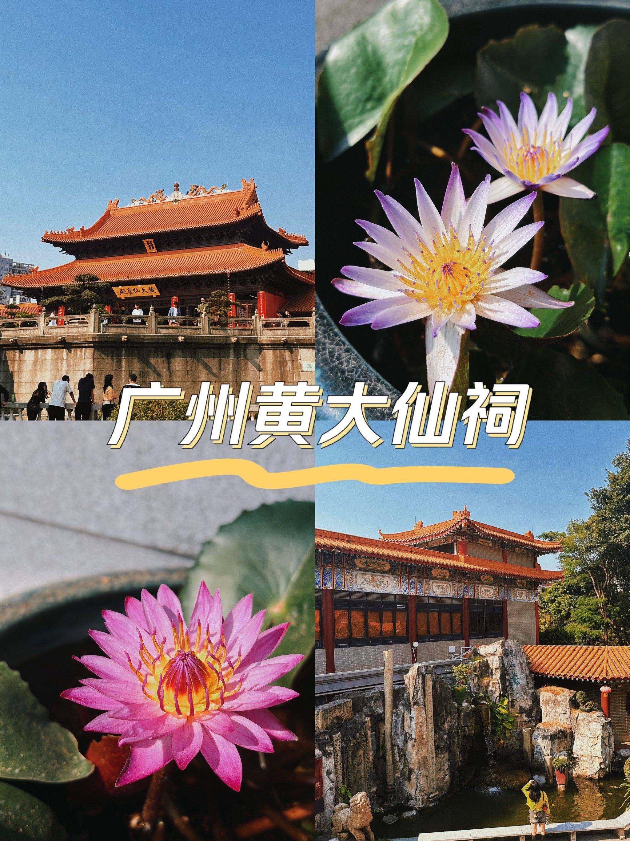 黄大仙救世网资料黄大仙救世网，探索网络资源中的神秘力量