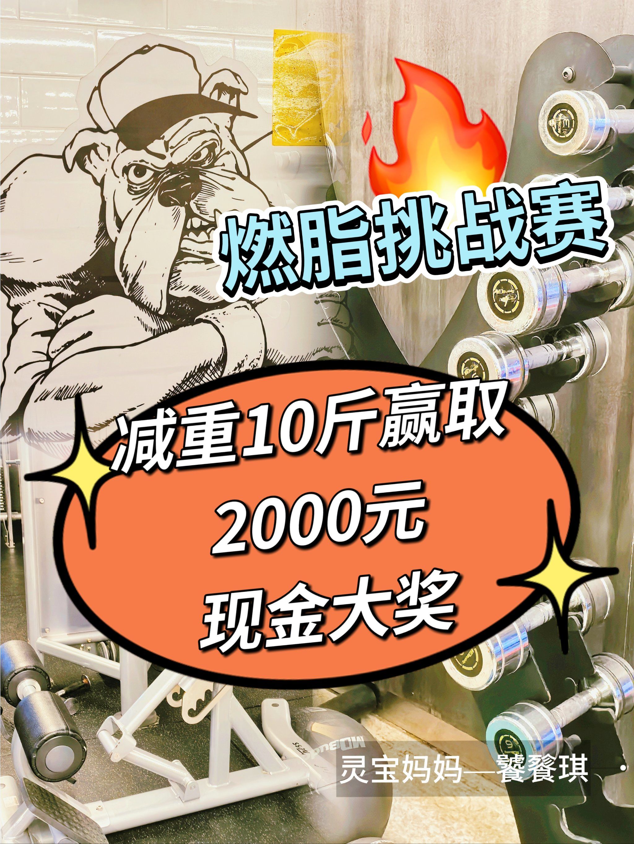 易中奖易中奖，把握机会，轻松赢取大奖