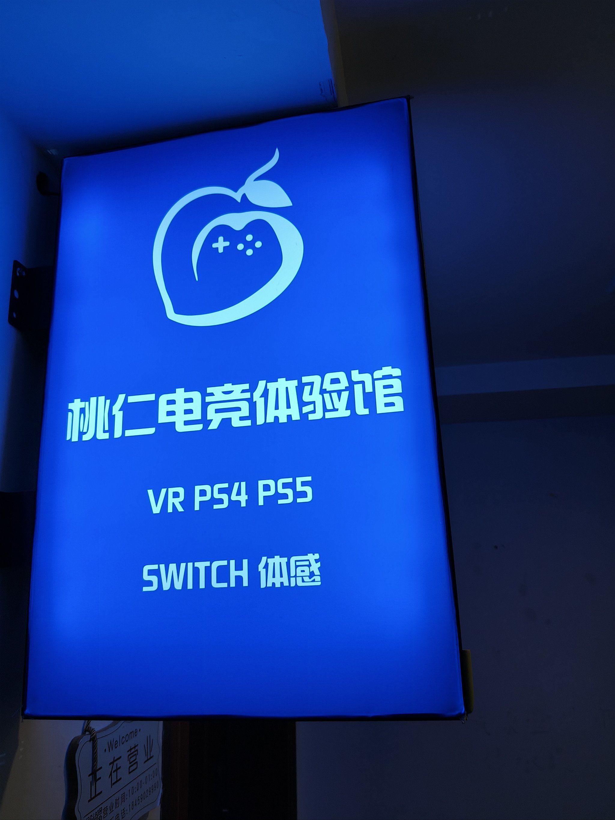 真人网上娱乐，沉浸式体验与无限可能