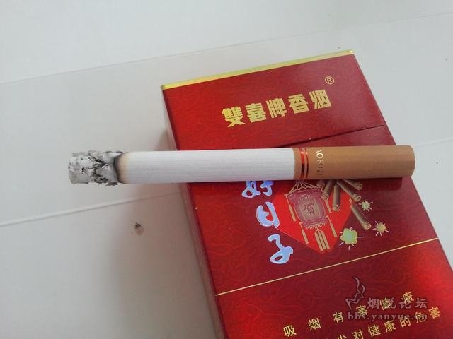 好日子论坛高手心水群好日子高手论坛，探索生活中的美好时刻-第1张图片