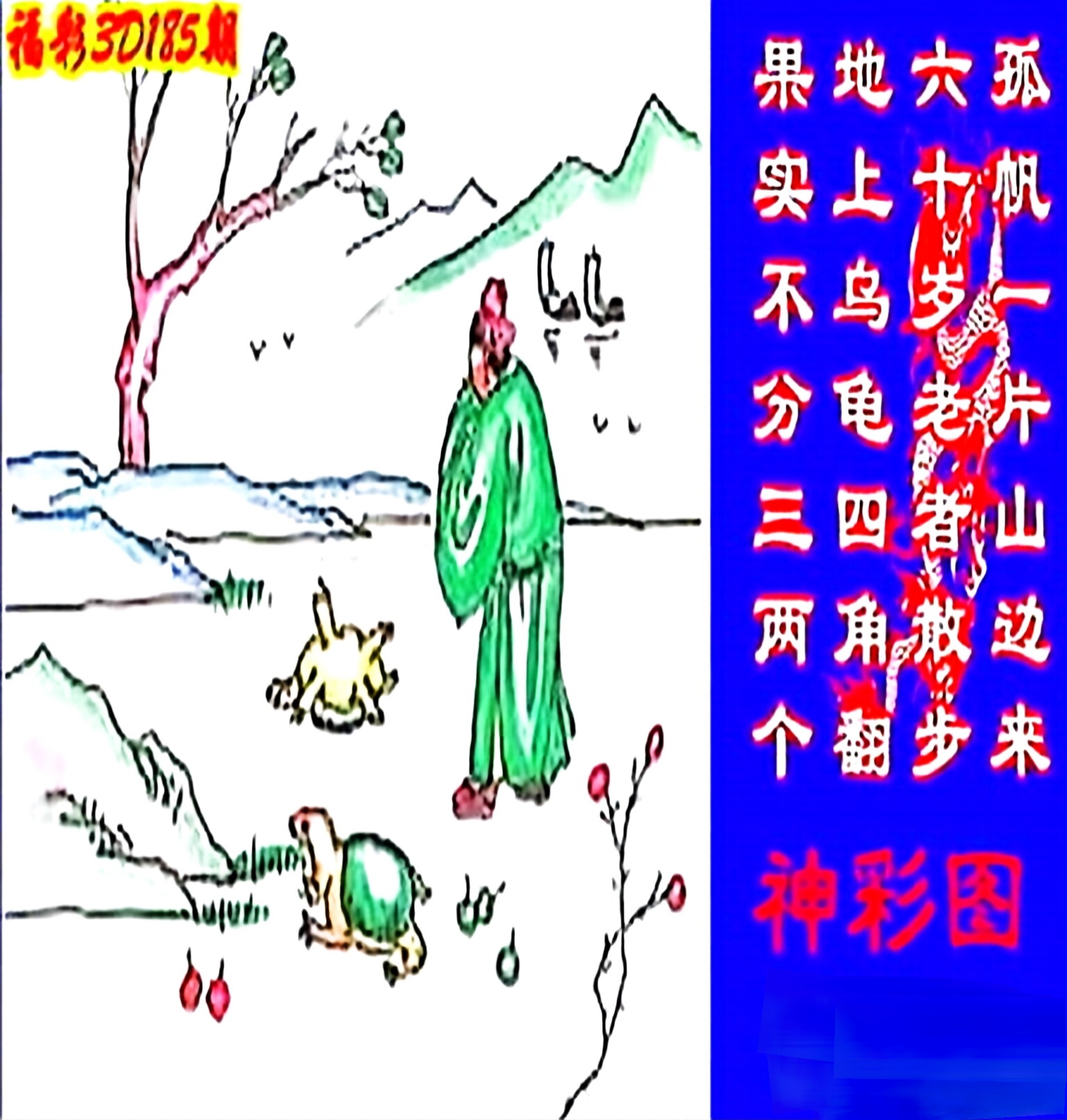 二四六图片玄机