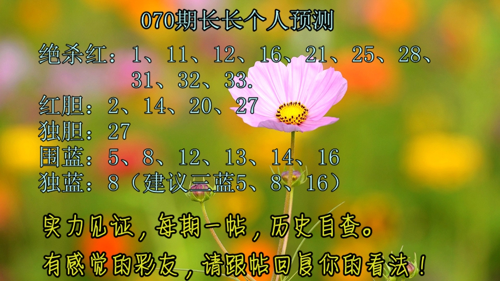 双色球预测论坛静态版双色球预测论坛文章-第2张图片