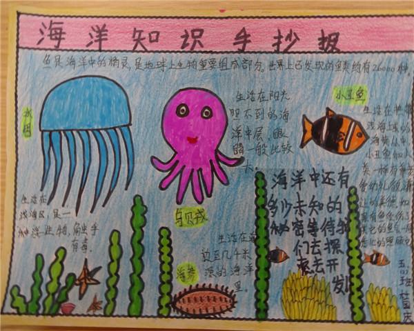 2022澳门正版资料全年免费公开，探索无限知识海洋-第3张图片