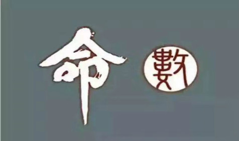 四柱算命软件，揭示命运之谜-第3张图片