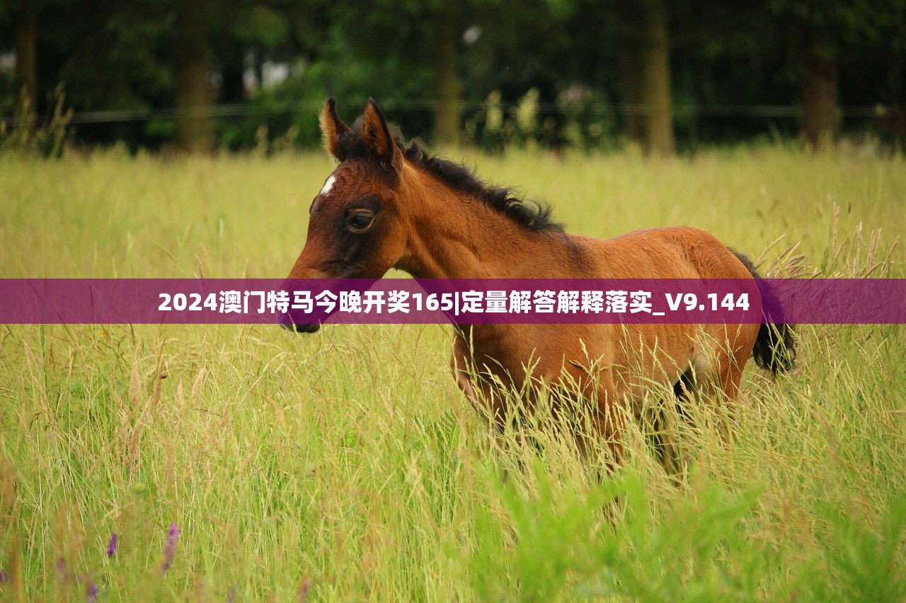今晚开奖特马关键词文章-第2张图片