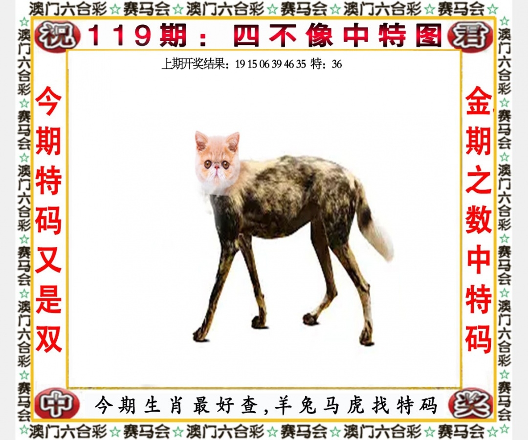 新澳天天开奖资料大全1051期新澳天天开奖资料大全