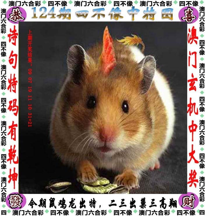 二四六天天好彩文字賧料
