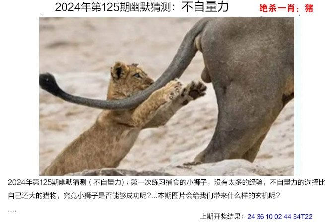 蓝月亮精准资料免费大公开-第1张图片