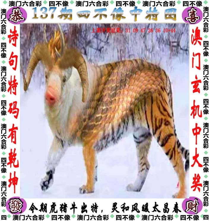 2024澳门资料大全正版资料