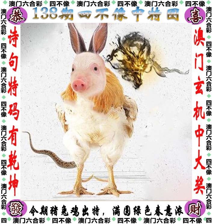 澳门六今晚开奖揭晓，2024年的神秘与期待