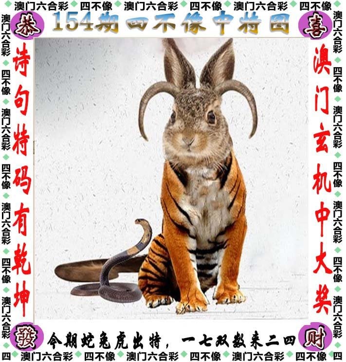 管家婆精选二肖二码管家婆精选二肖二码-第3张图片