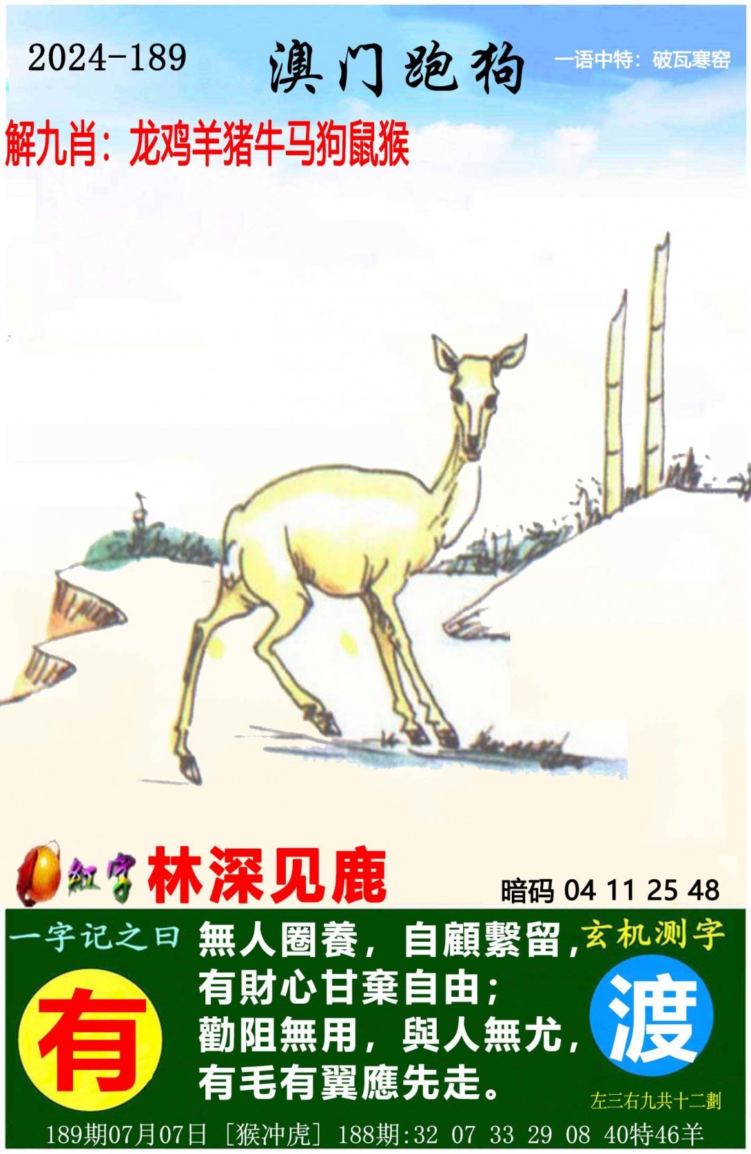 跑狗论坛新一代，引领跑狗新潮流-第2张图片